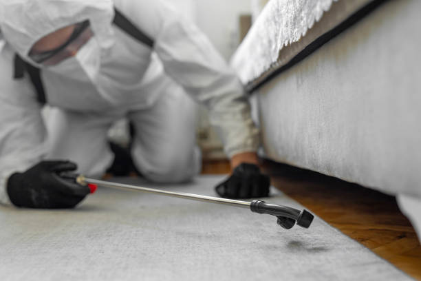 Professional Cockroach Control technician working in Burlington, NC