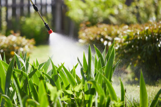 24/7 Emergency Cockroach Control experts in Burlington, NC