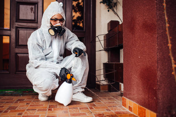 Reliable Cockroach Control contractor in Burlington, NC by Nex Pest Control