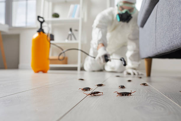 Affordable Cockroach Control solutions in Burlington, NC